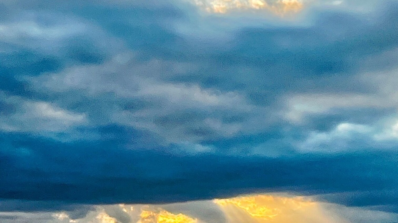 Photo of Others in Kitsilano