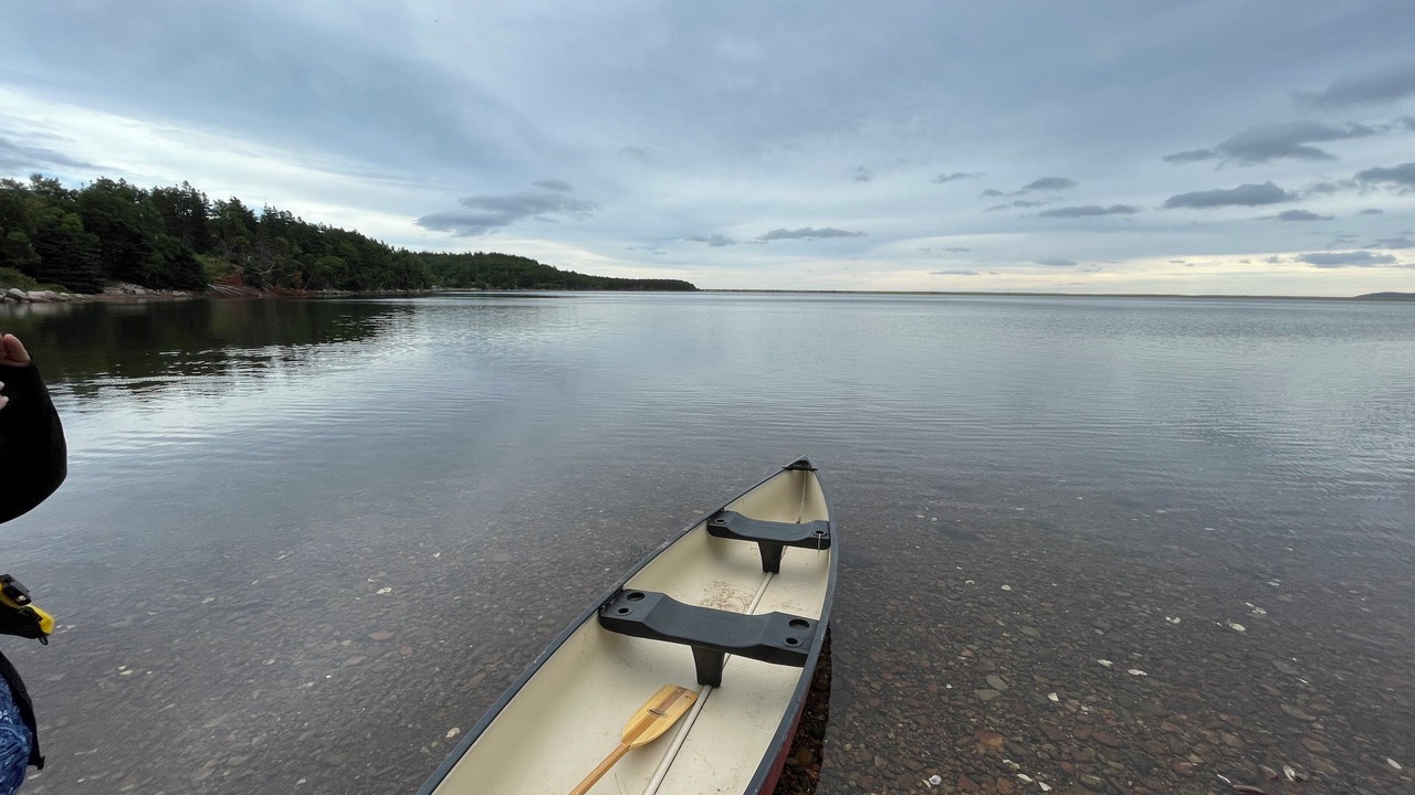 Photo of Others in Aspy Bay