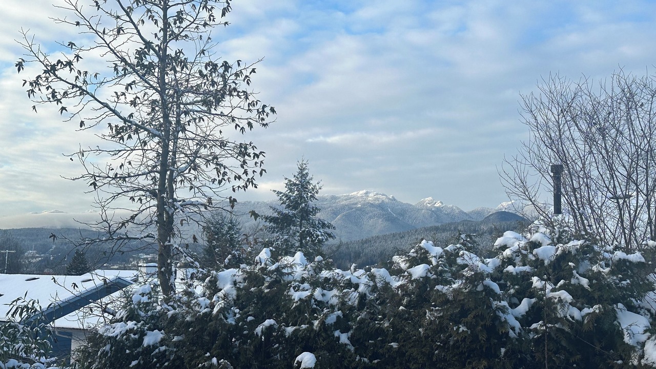 Photo of Others in Port Moody