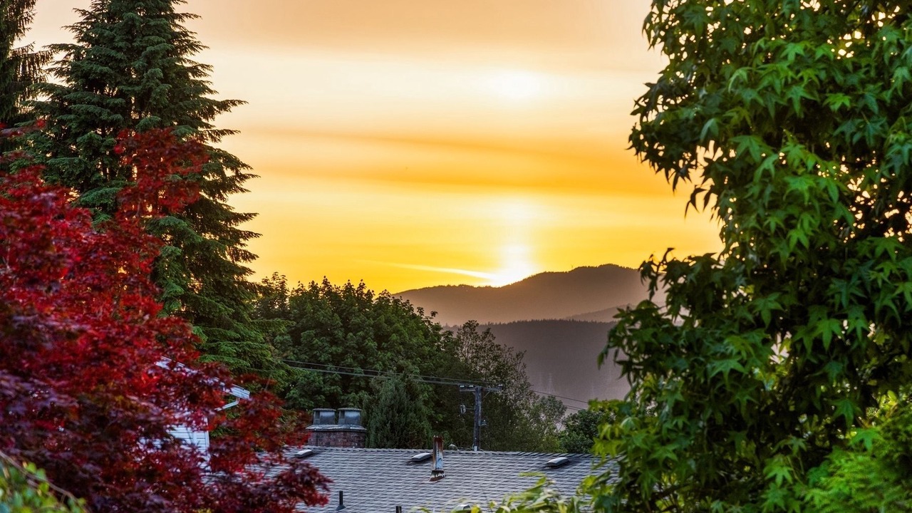 Photo of Others in Port Moody