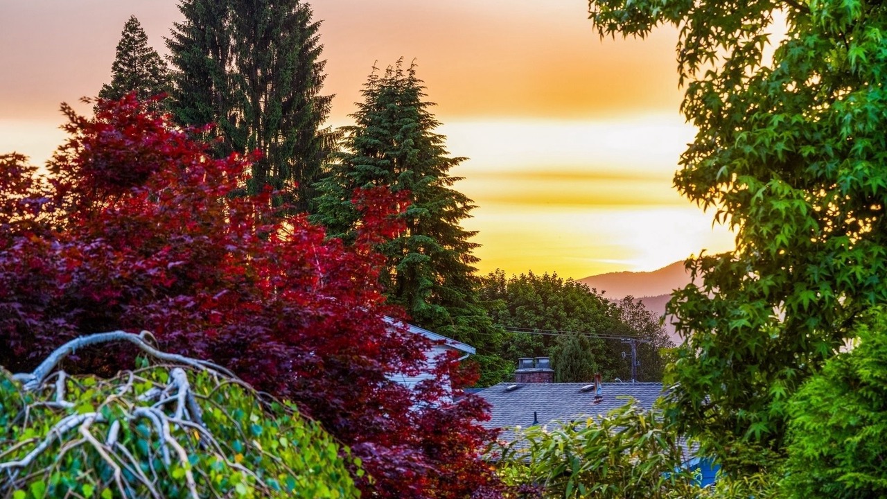 Photo of Others in Port Moody