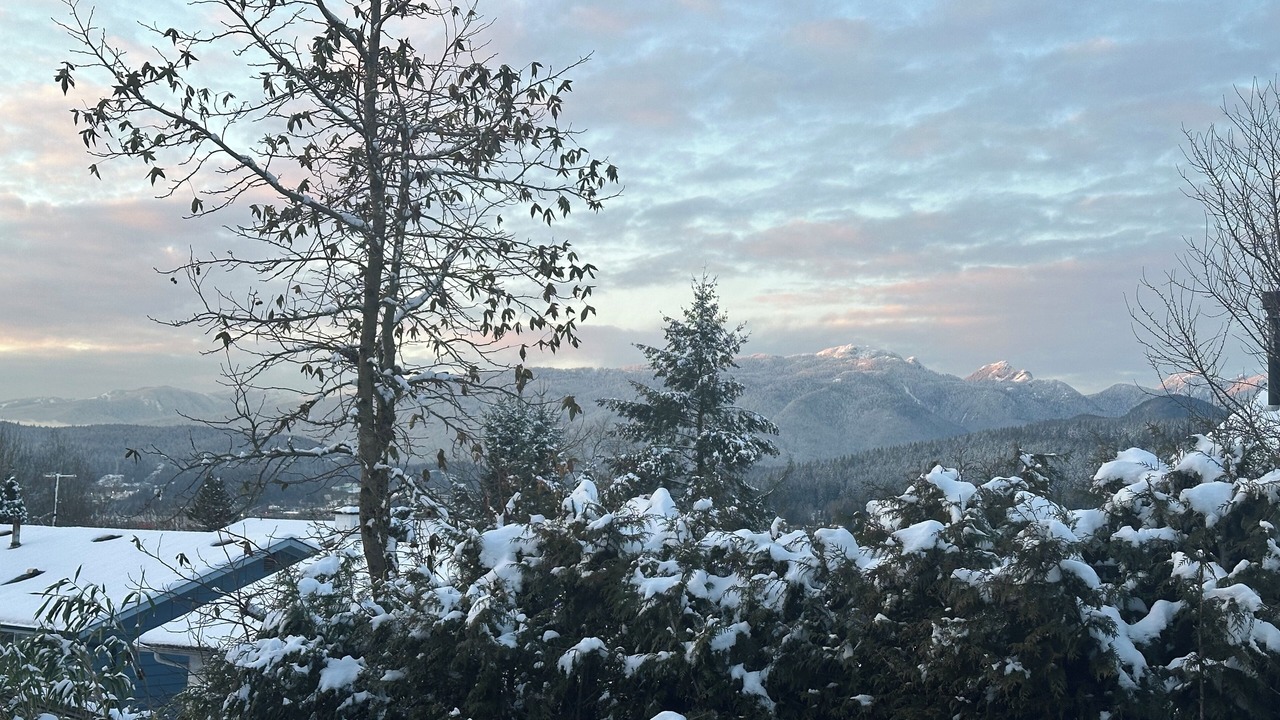 Photo of Others in Port Moody