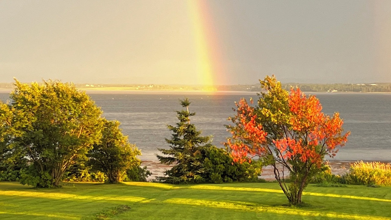 Photo of Others in Malagash