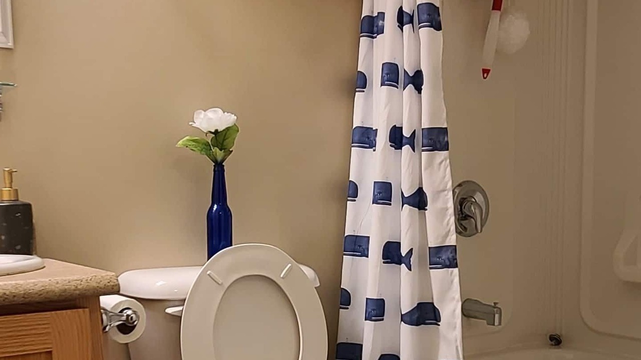 Photo of Bathroom in Terra Nova