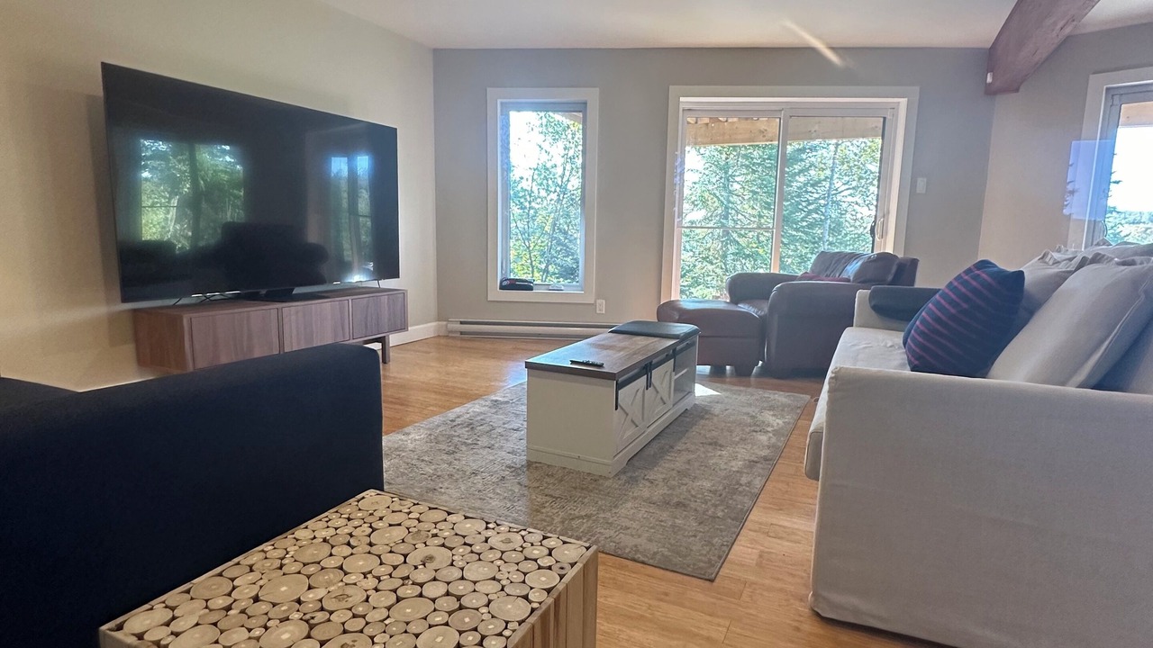 Photo of Livingroom in Entrelacs