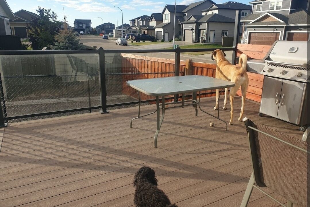 Photo of Outdoor in Grande Prairie