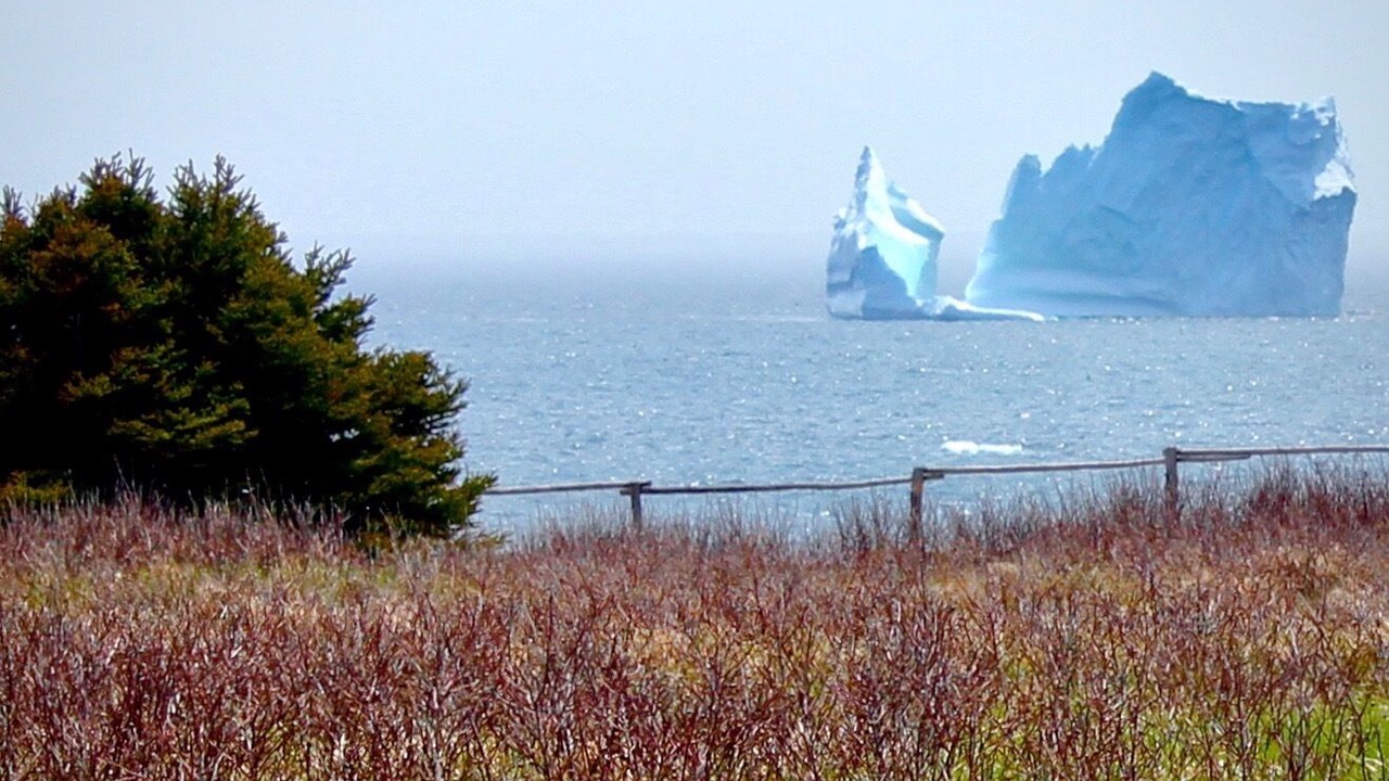 Photo of Others in Ochre Pit Cove