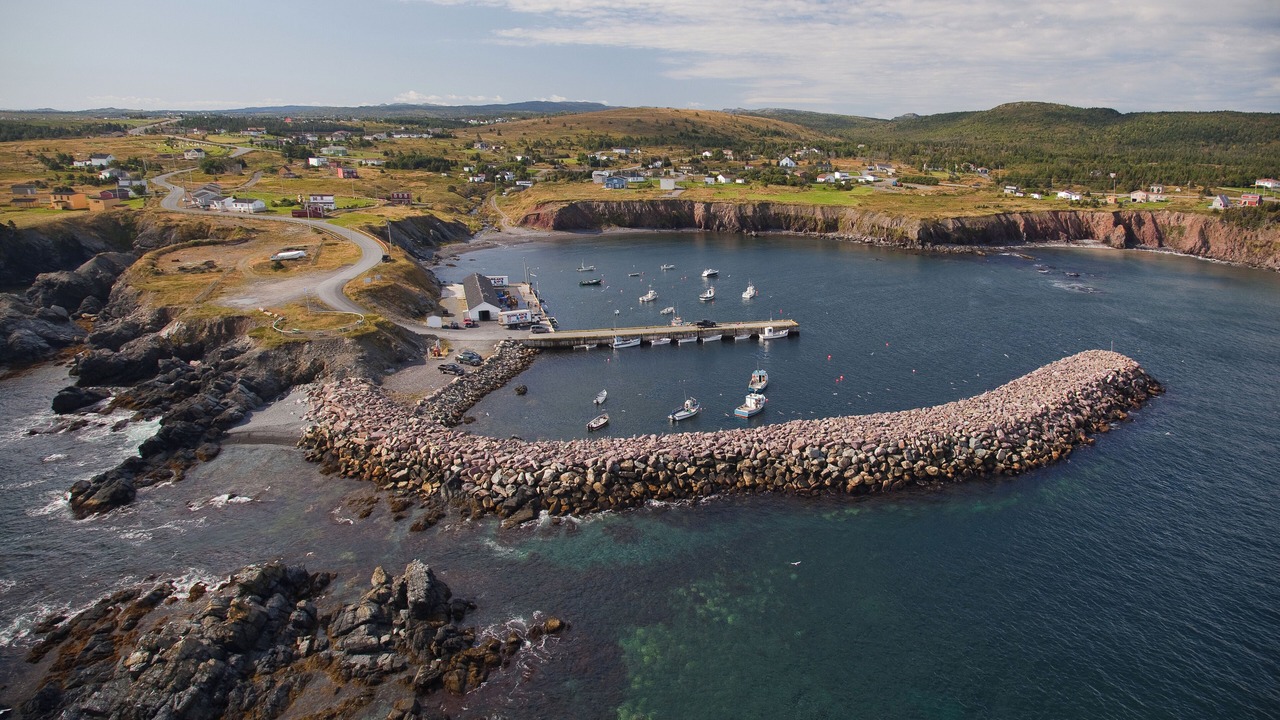 Photo of Others in Ochre Pit Cove
