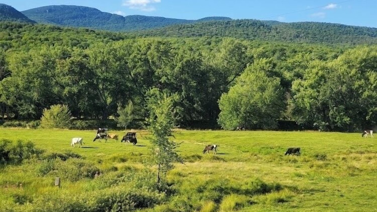 Photo of Others in Cowansville