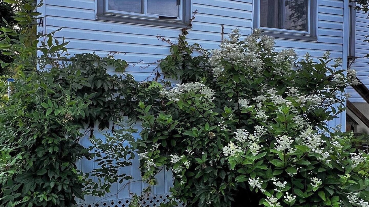 Photo of Outdoor in Bancroft