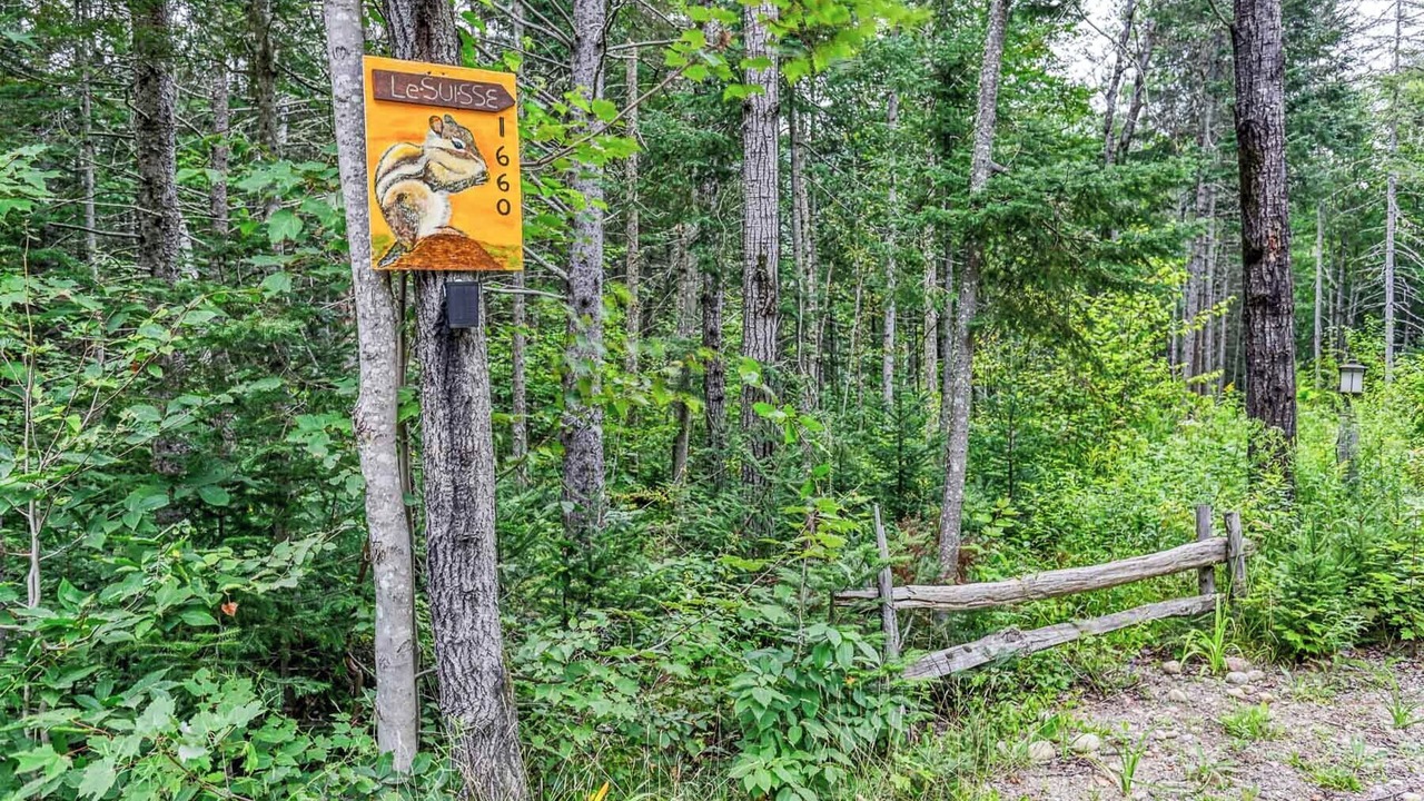 Photo of Outdoor in Mauricie