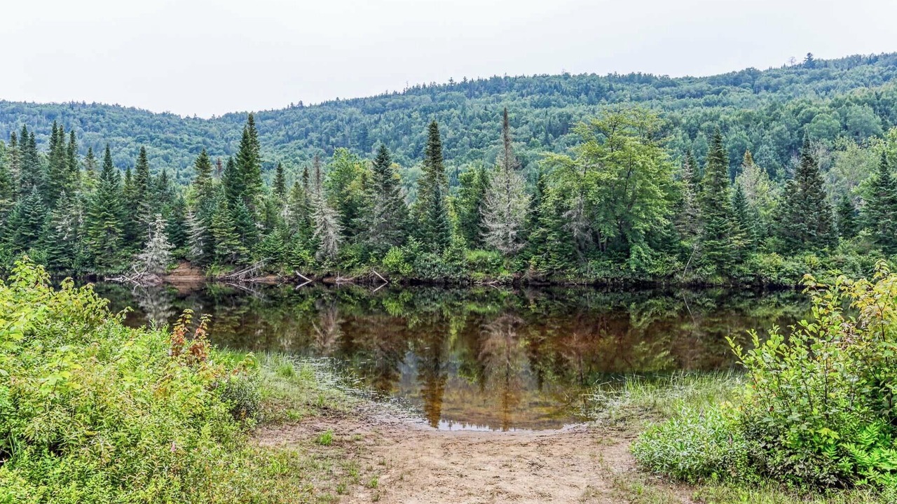 Photo of Others in Mauricie