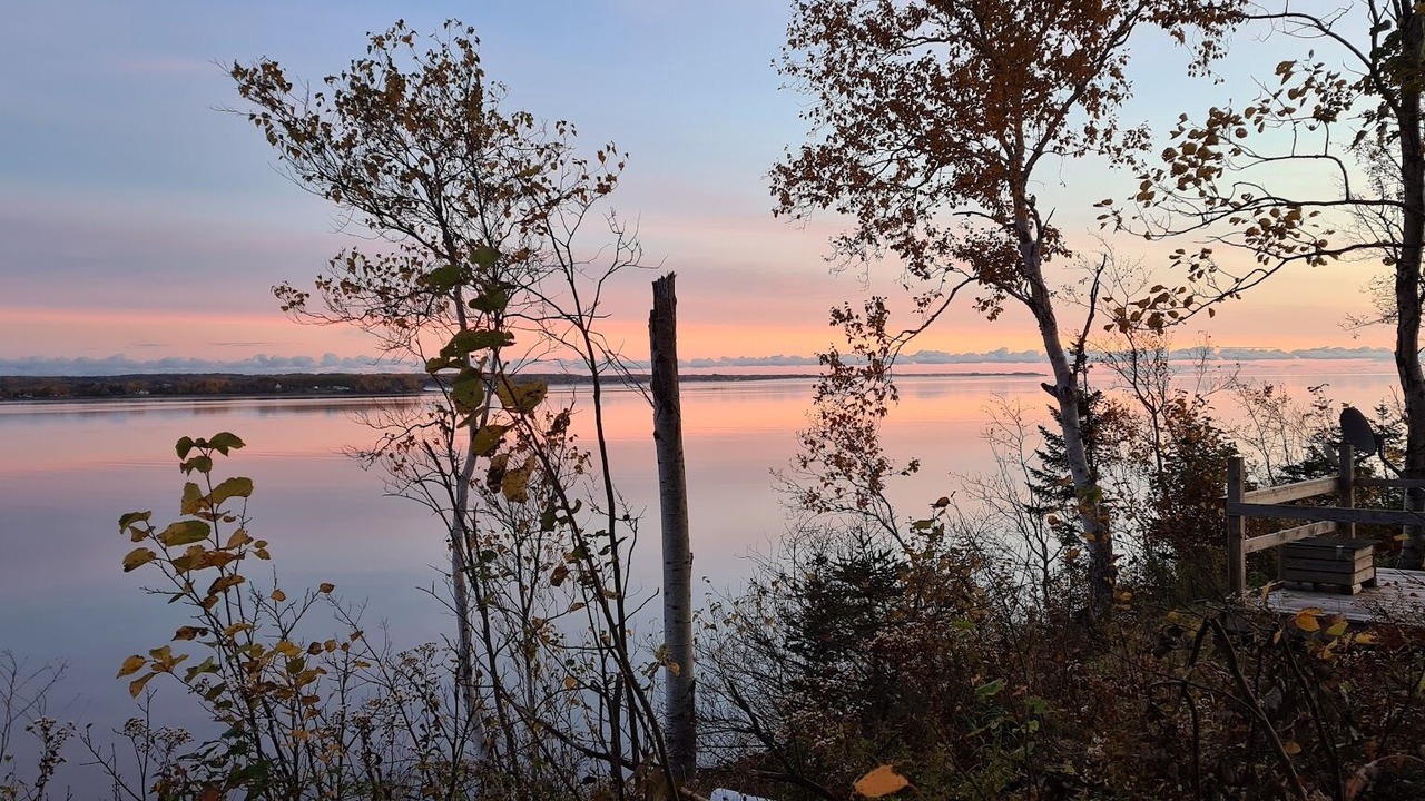 Photo of Others in Colchester County