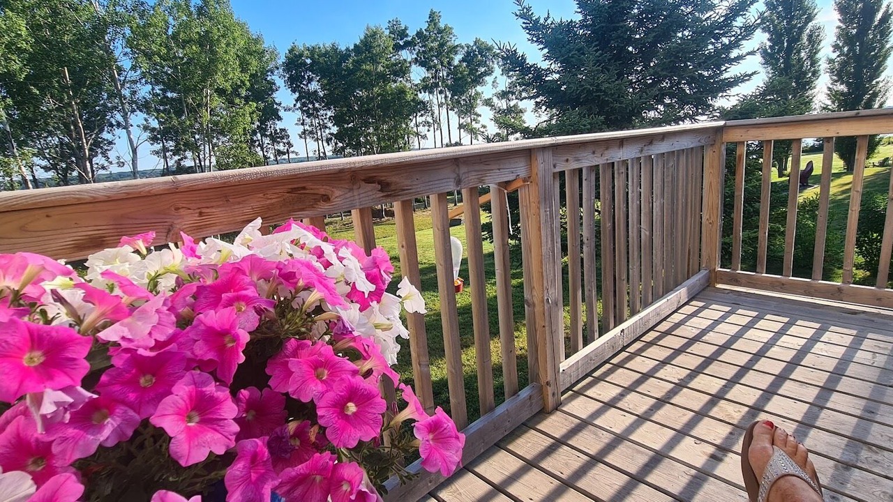 Photo of Others in Colchester County