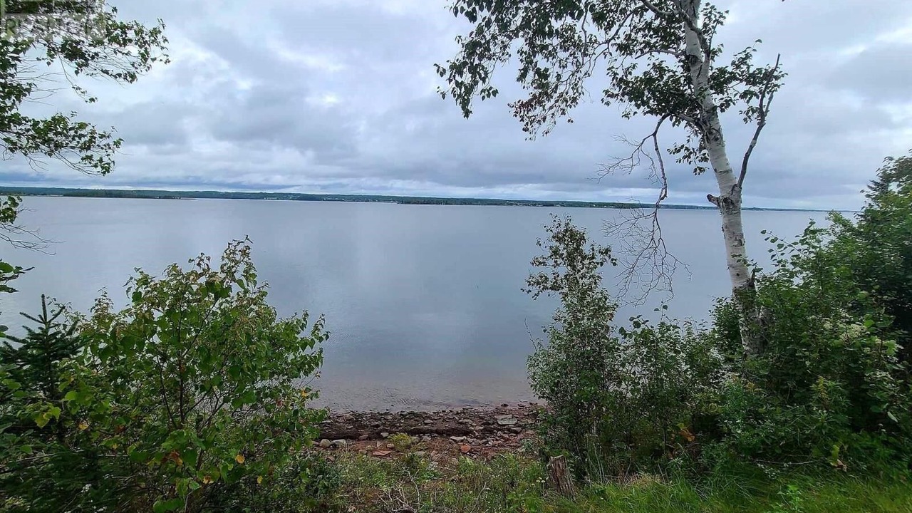 Photo of Others in Colchester County