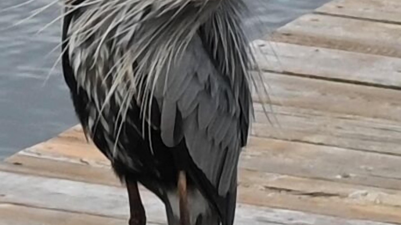 Photo of Others in Gananoque