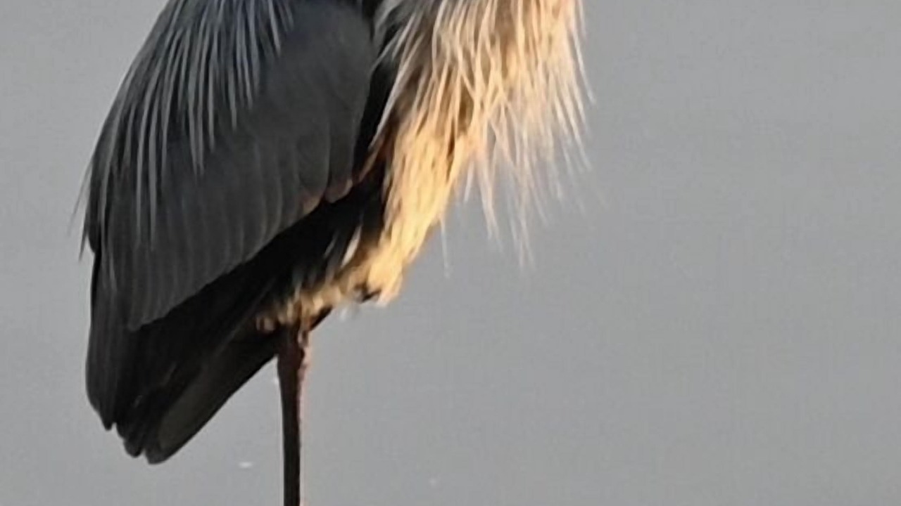 Photo of Others in Gananoque