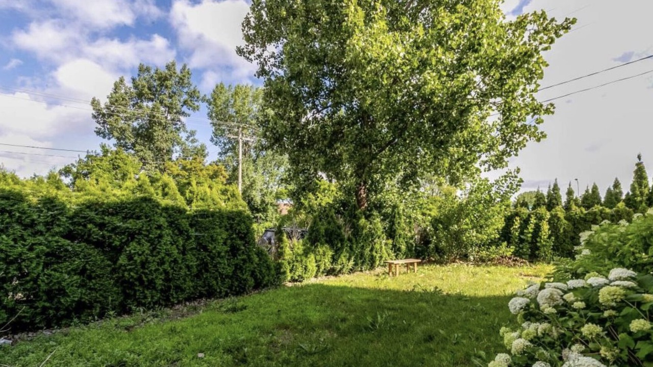 Photo of Outdoor in LaSalle