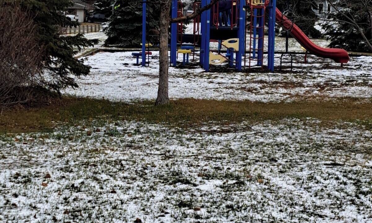 Photo of Others in Lloydminster
