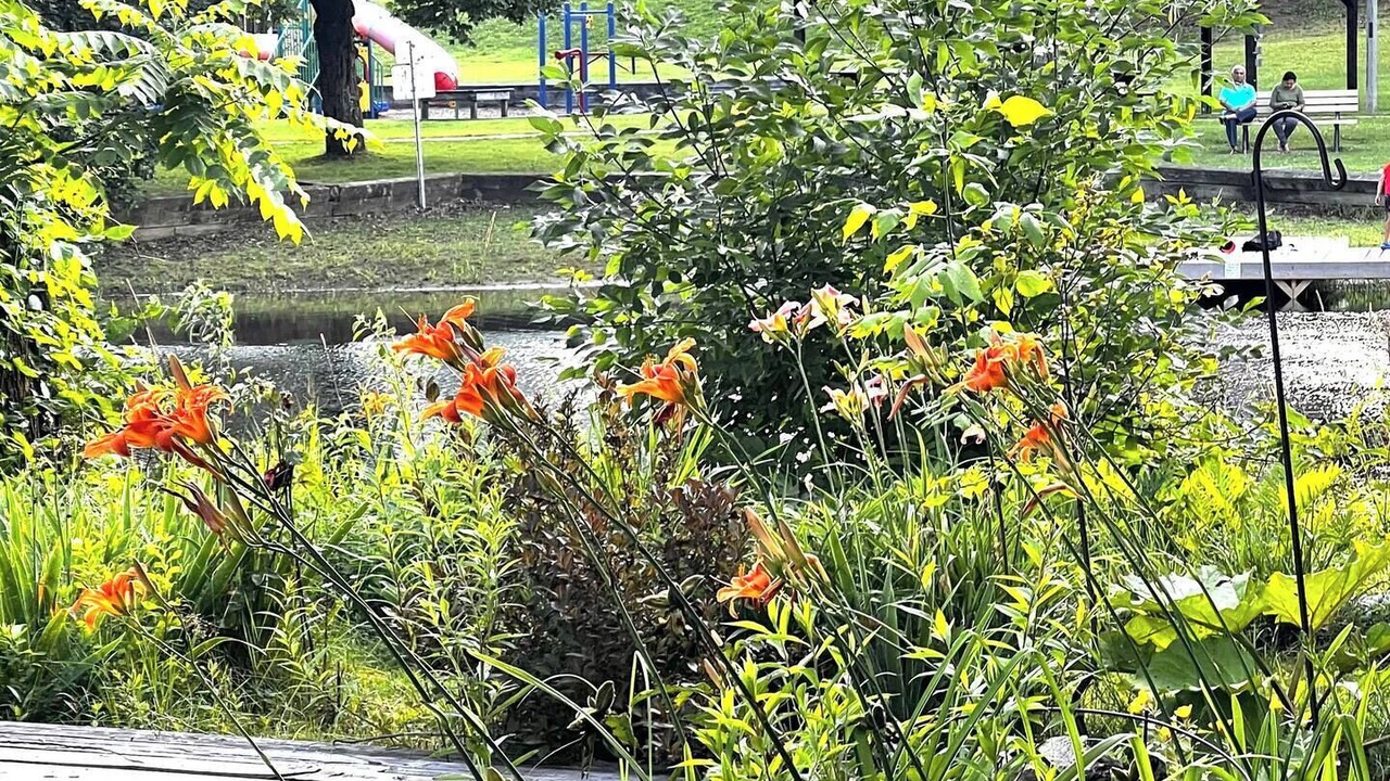 Photo of Outdoor in Bancroft