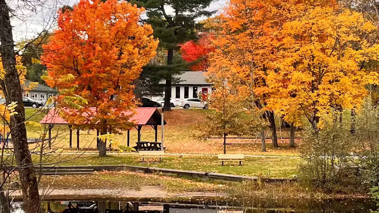 Photo of Others in Bancroft