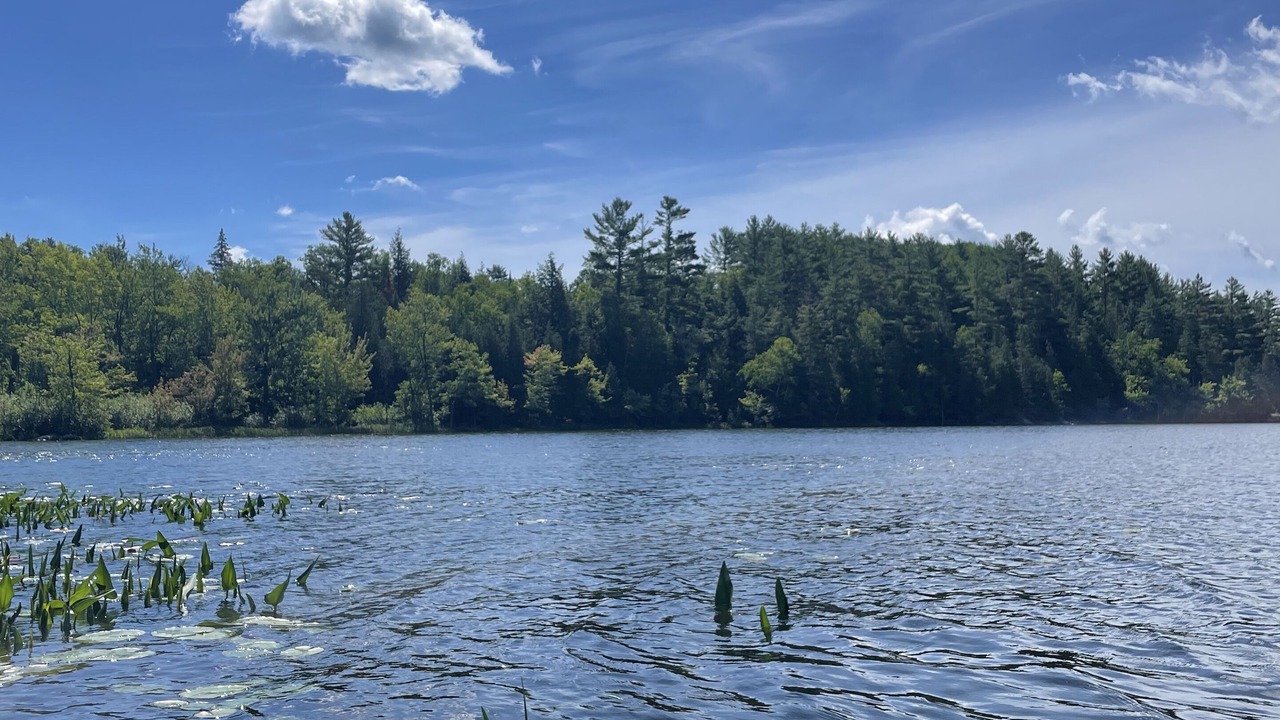 Photo of Others in Lac-McGregor