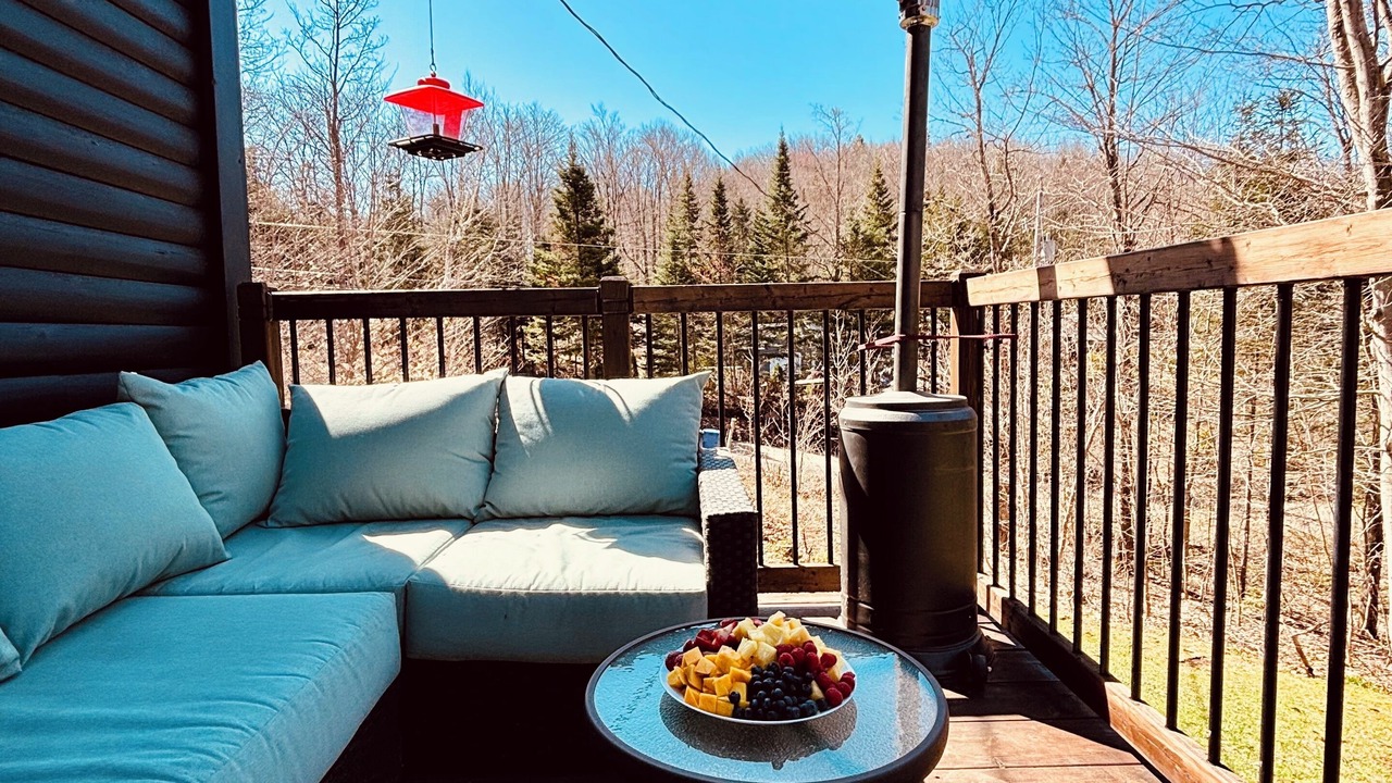 Photo of Patio Balcony in Entrelacs