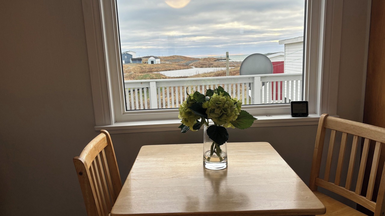 Photo of Others in Portugal Cove South