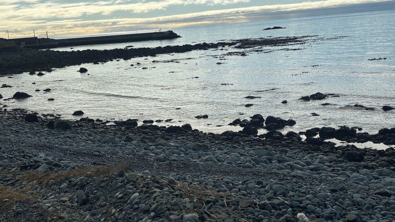 Photo of Others in Portugal Cove South