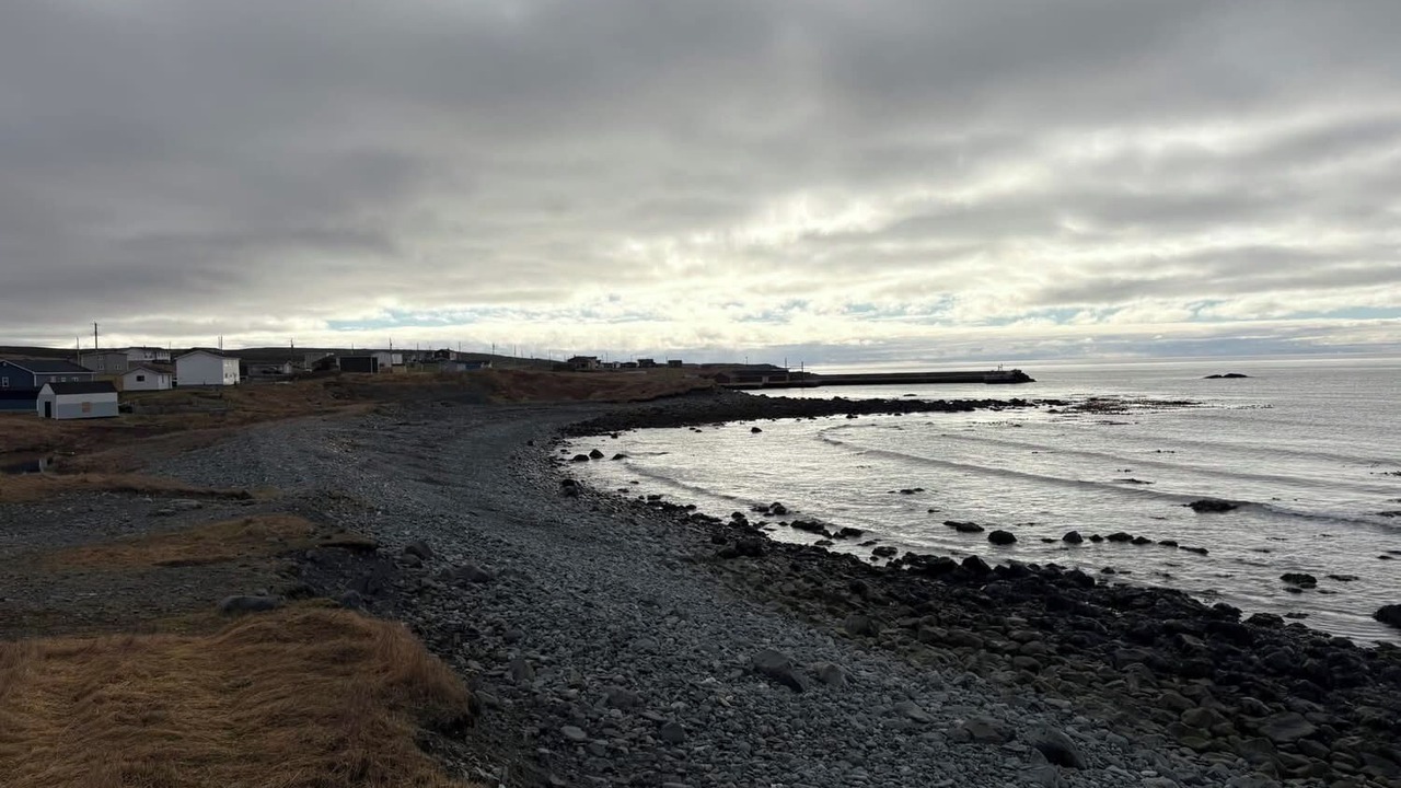 Photo of Others in Portugal Cove South