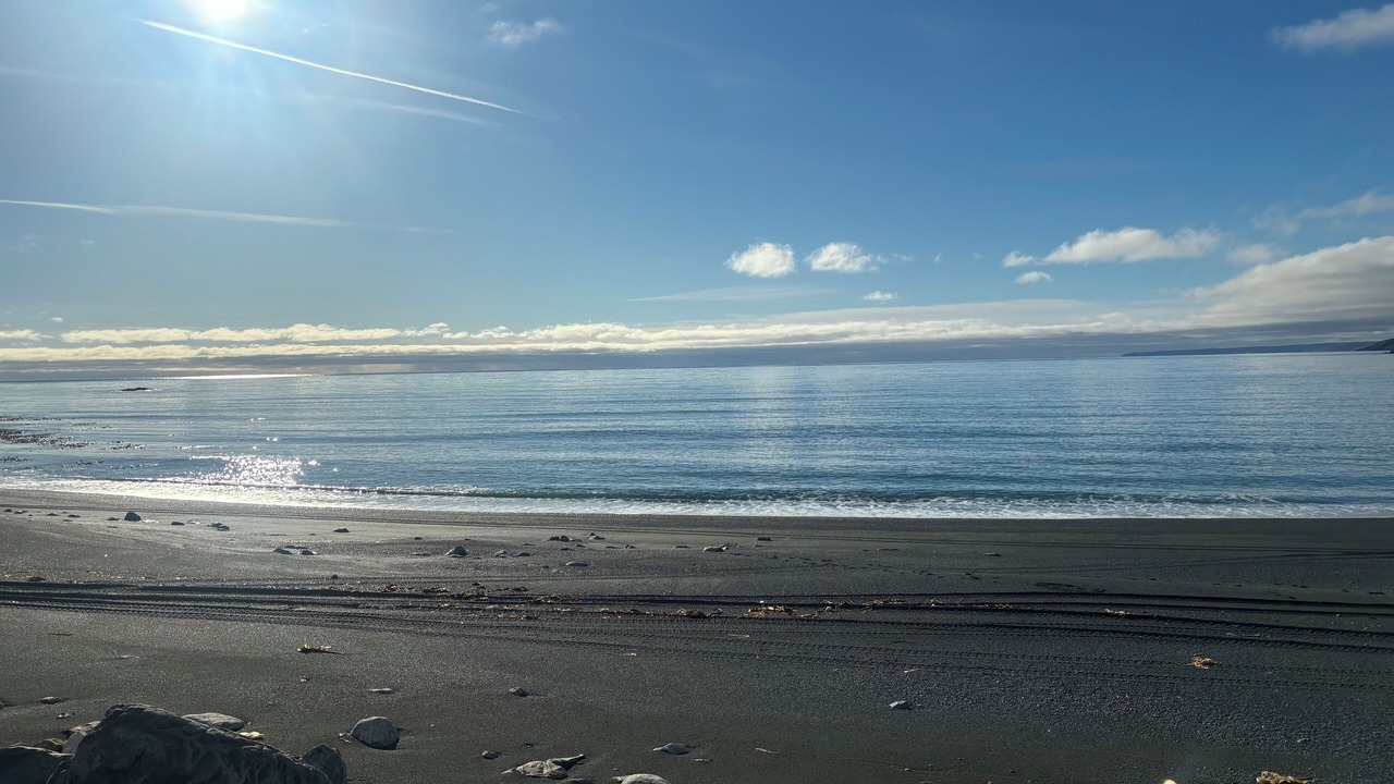 Photo of Others in Portugal Cove South