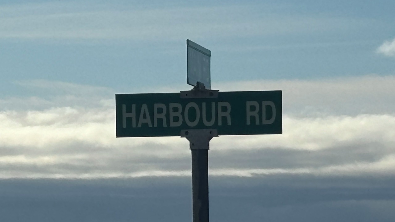 Photo of Others in Portugal Cove South