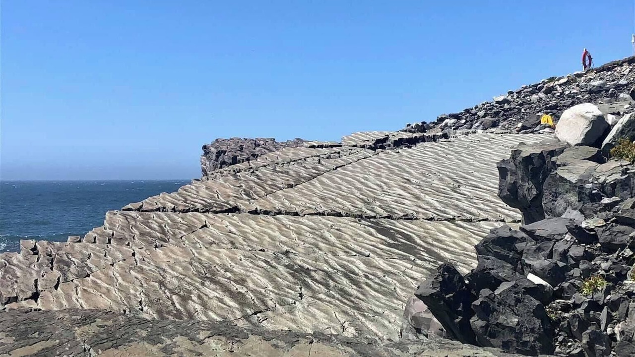Photo of Others in Portugal Cove South