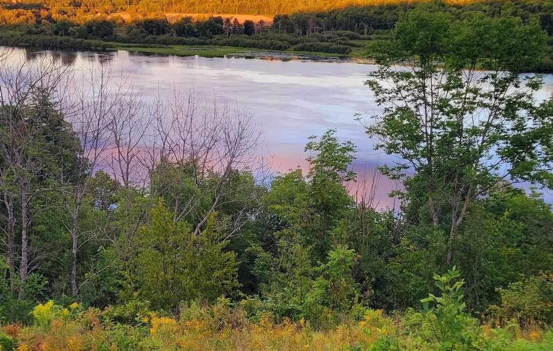 Photo of Others in L'lle-du-Grand-Calumet