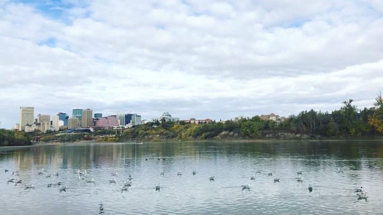 Photo of Others in Northeast Edmonton