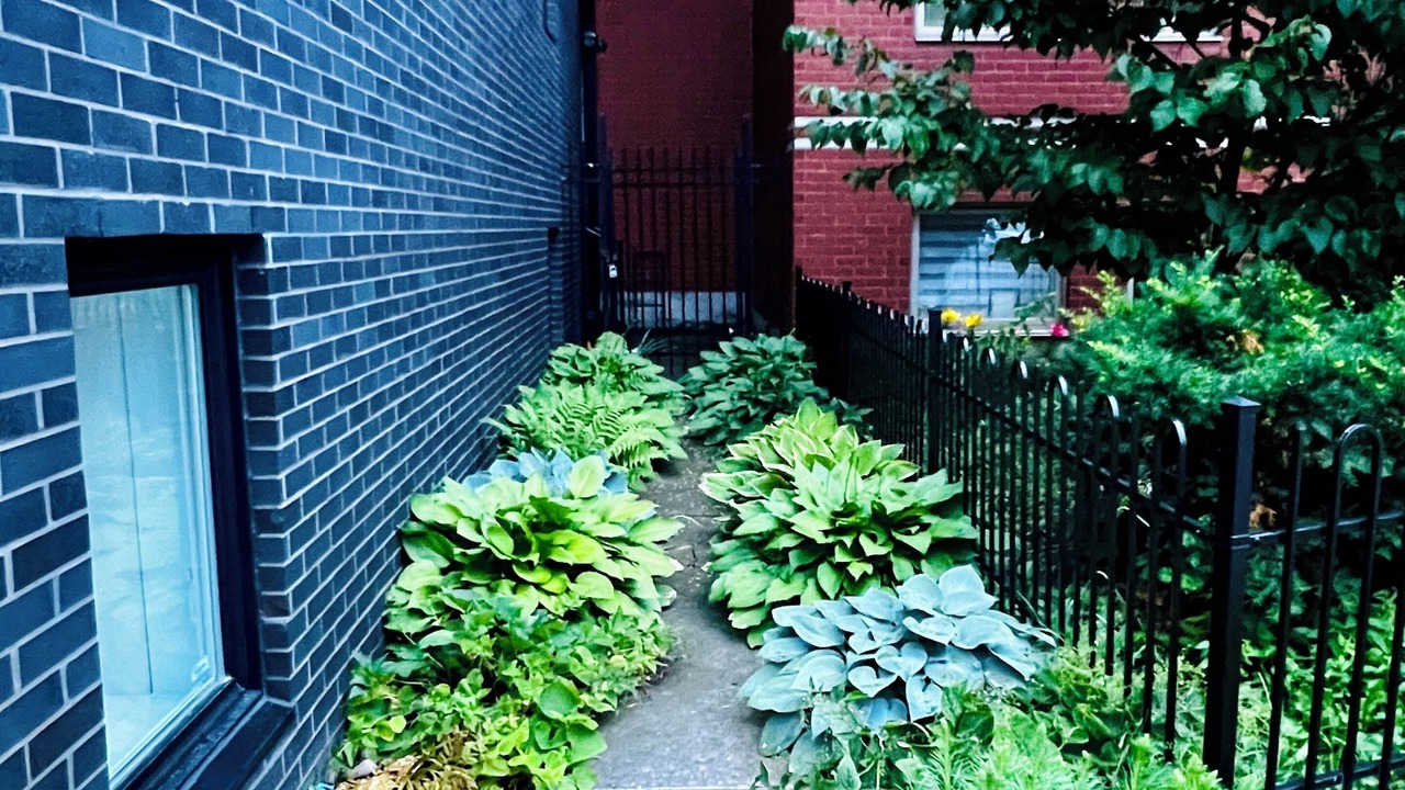 Photo of Outdoor in Sainte-Marie