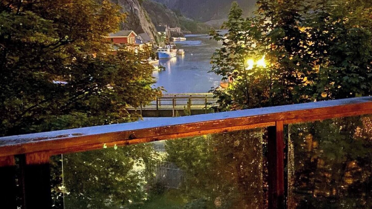 Photo of Others in Quidi Vidi