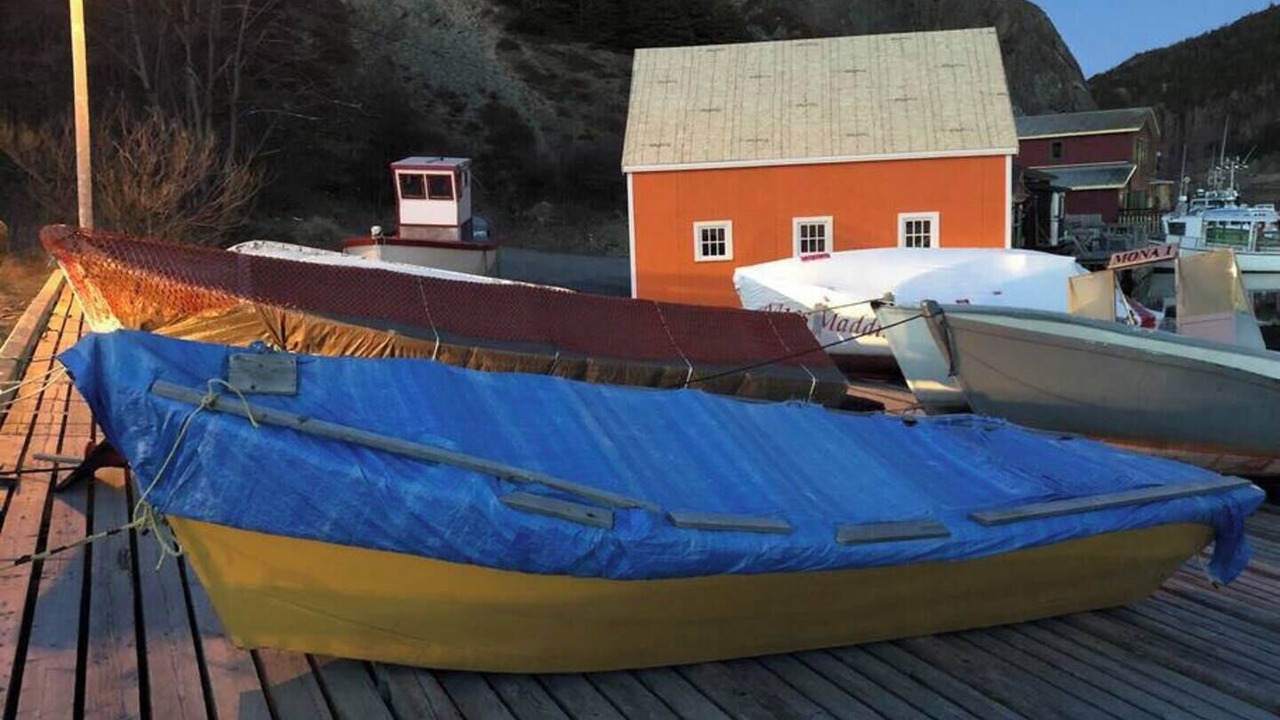 Photo of Others in Quidi Vidi