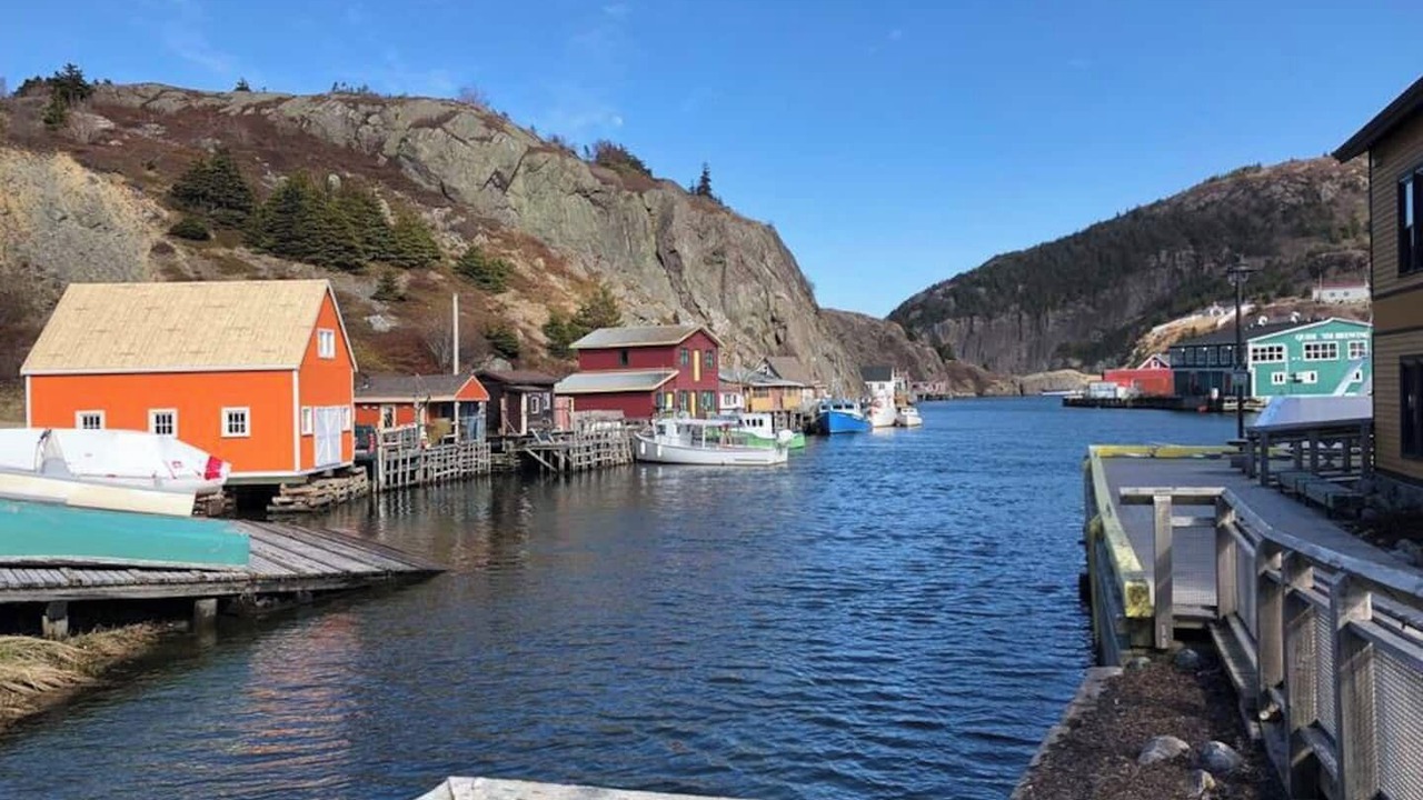 Photo of Others in Quidi Vidi