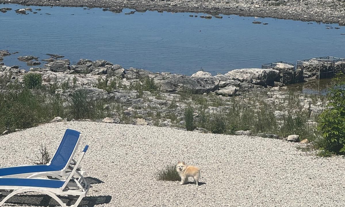 Photo of Others in Northern Bruce Peninsula