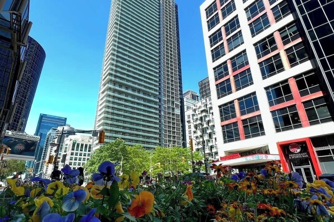 Photo of Outdoor in Toronto Entertainment District