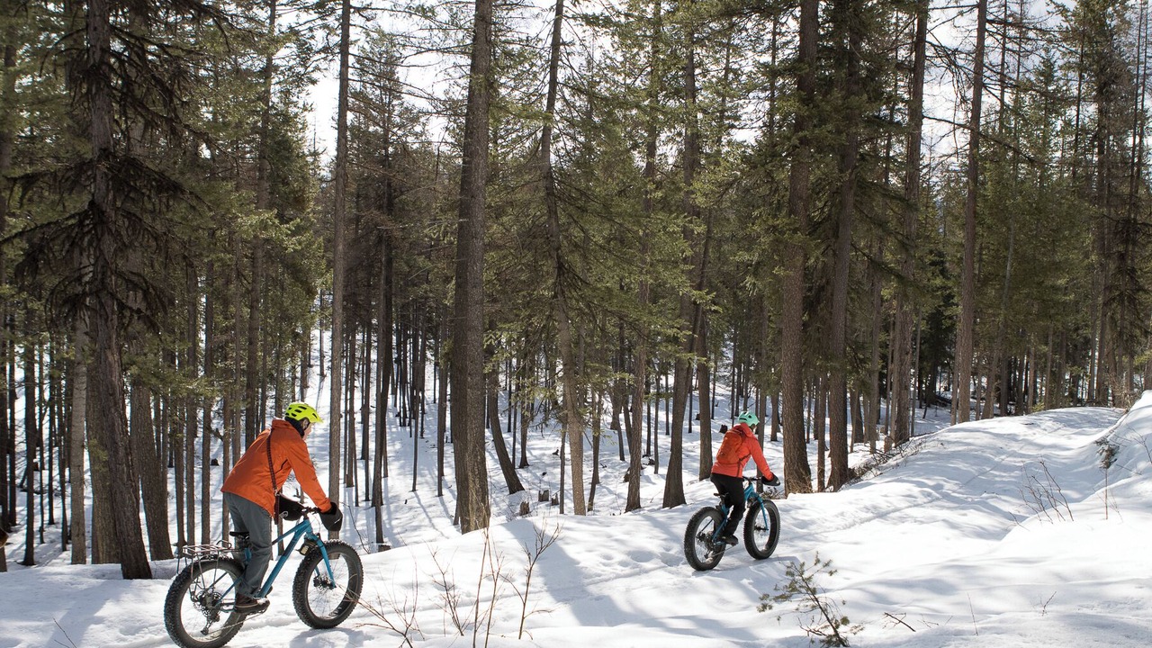 Photo of Others in East Kootenay