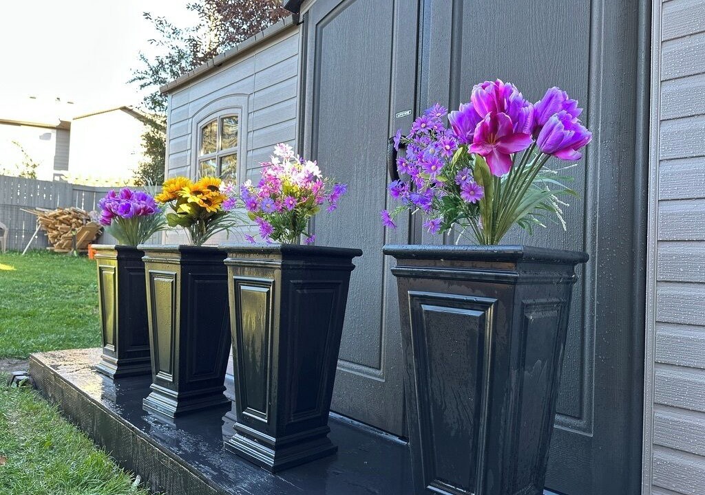Photo of Outdoor in Sherwood Park