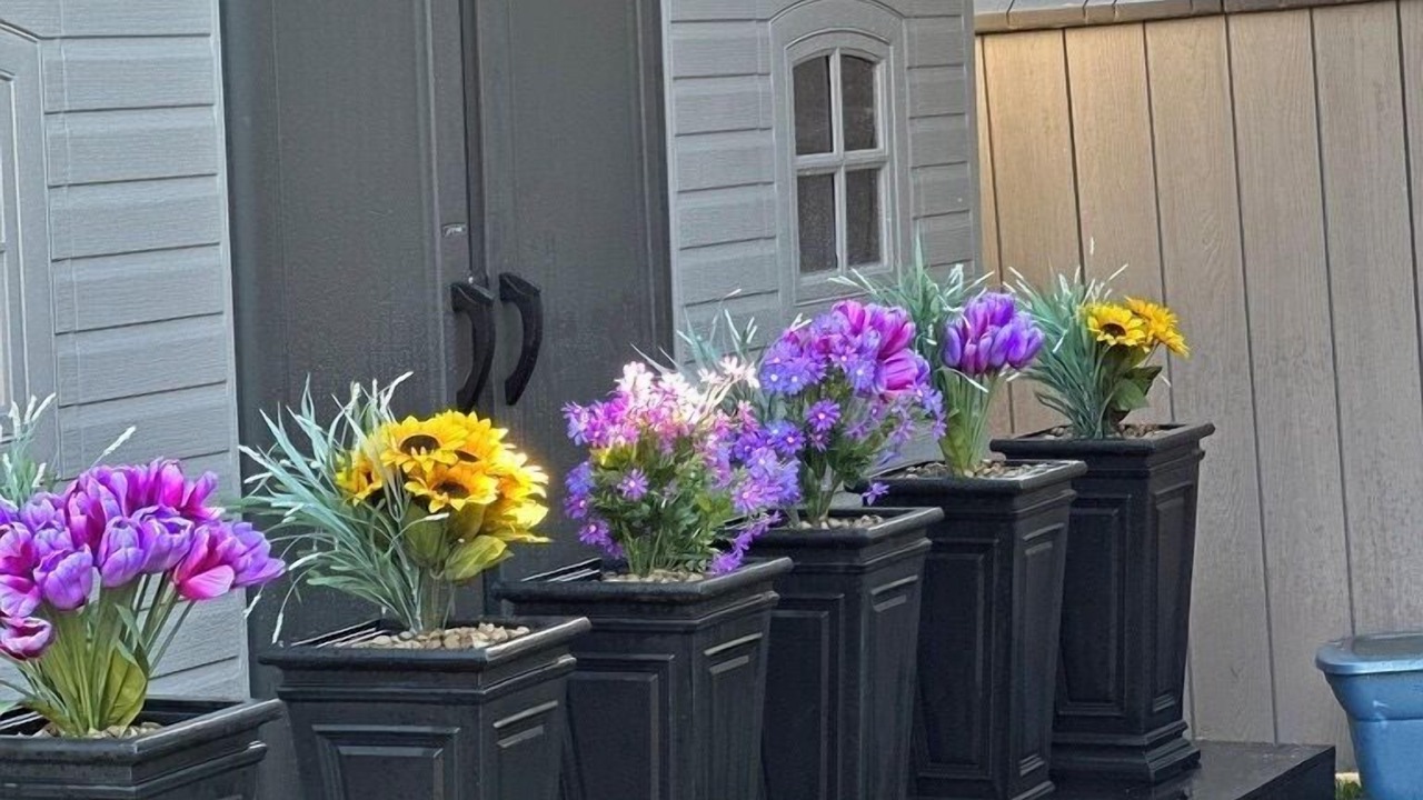 Photo of Outdoor in Sherwood Park