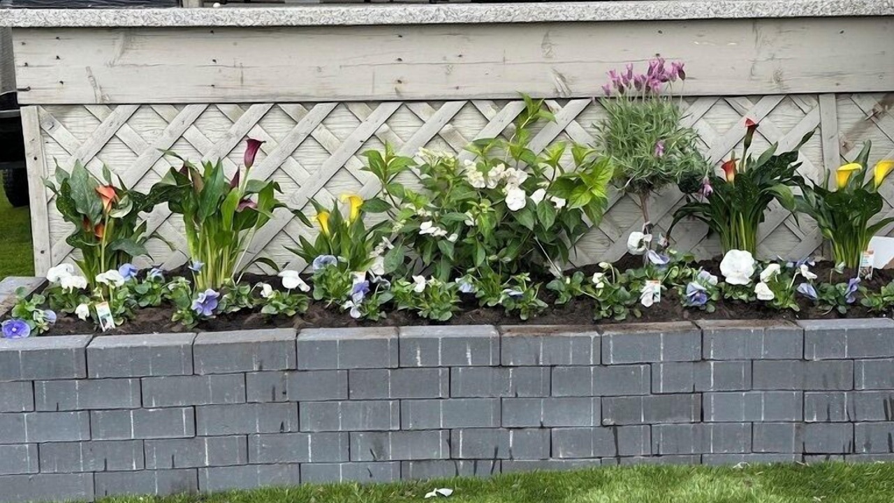 Photo of Patio Balcony in Sherwood Park