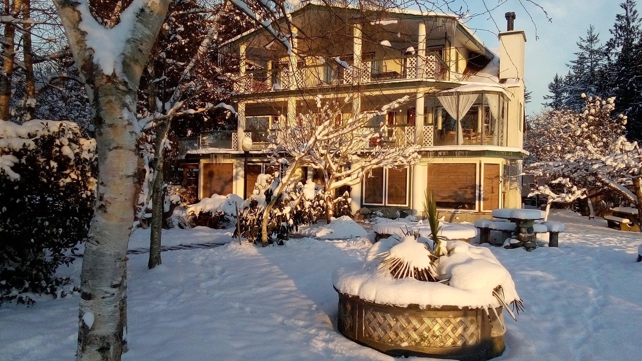 Photo of Outdoor in Brew Bay