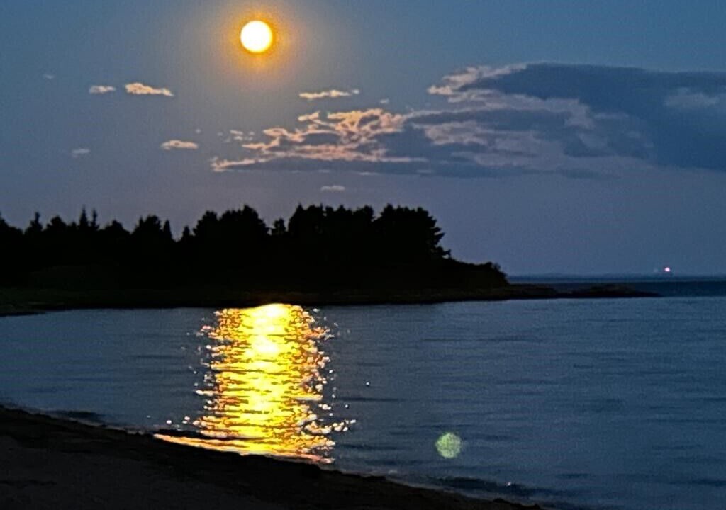 Photo of Others in Wood Islands