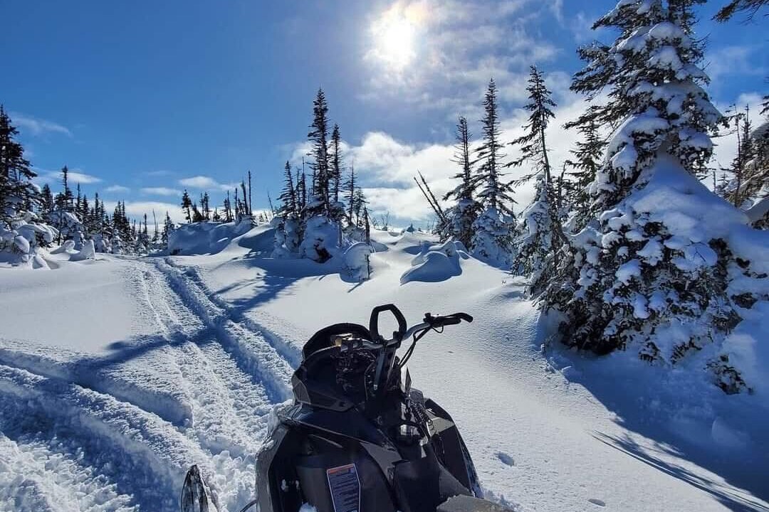 Photo of Others in Terra Nova