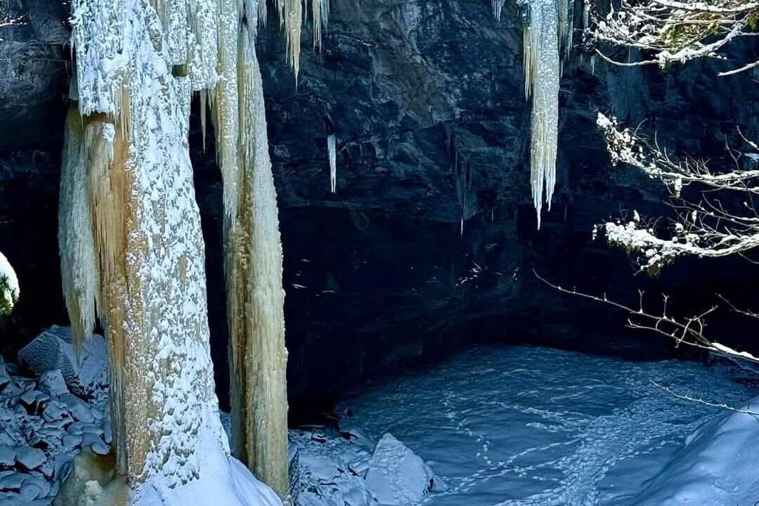 Photo of Others in Terra Nova