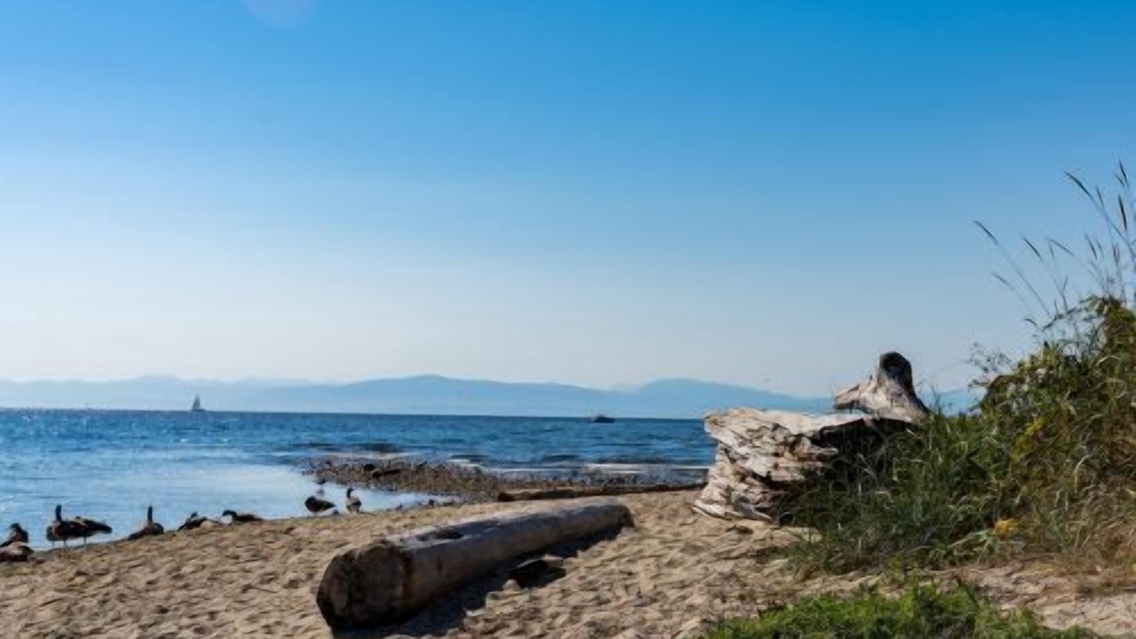 Photo of Others in West Sechelt